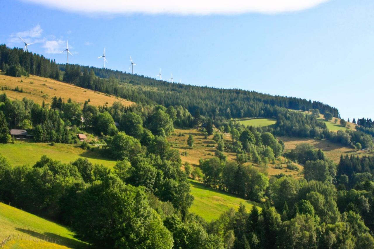 Genussgasthof Willenshofer Sankt Kathrein am Hauenstein Exteriör bild
